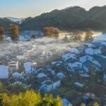 Wuyuan_s_Golden_Blooms_Herald_Rural_Revitalization_Success - Khabar Asia Wuyuan_s_Golden_Blooms_Herald_Rural_Revitalization_Success