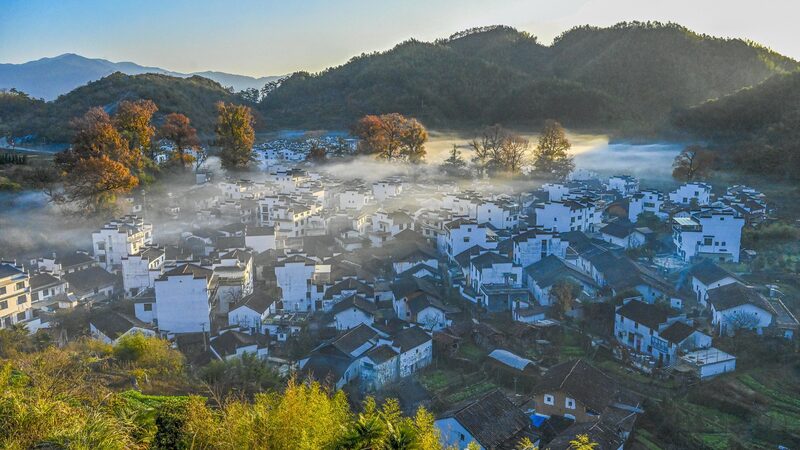 Wuyuan_s_Golden_Blooms_Herald_Rural_Revitalization_Success - Khabar Asia Wuyuan_s_Golden_Blooms_Herald_Rural_Revitalization_Success