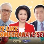 Xinjiang_s_Resilience_Under_U_S__Sanctions_Highlighted_at_Two_Sessions_poster - Khabar Asia Xinjiang_s_Resilience_Under_U_S__Sanctions_Highlighted_at_Two_Sessions video poster