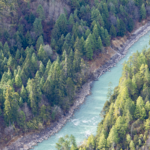 Xizang_Leads_in_Eco_Conservation_Efforts__White_Paper_Reveals - Khabar Asia Xizang_Leads_in_Eco_Conservation_Efforts__White_Paper_Reveals