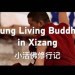 Young_Living_Buddaholders_Blend_Tradition_and_Modernity_in_Xizang video poster
