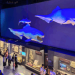 Ancient_Fossils_Unveil_Earth_s_4_6_Billion_Year_Marine_Saga_in_Tianjin - Khabar Asia Ancient_Fossils_Unveil_Earth_s_4_6_Billion_Year_Marine_Saga_in_Tianjin