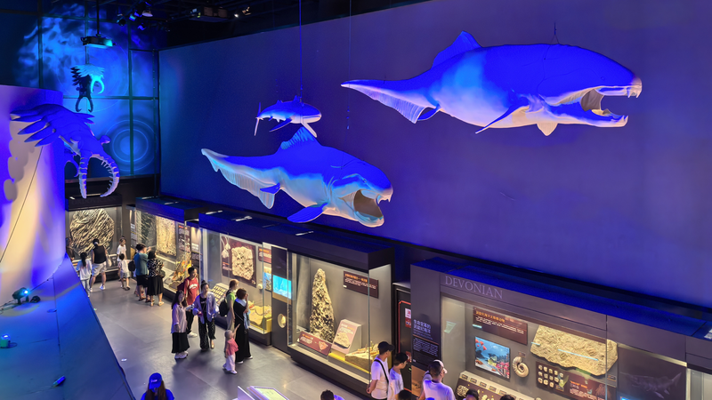 Ancient_Fossils_Unveil_Earth_s_4_6_Billion_Year_Marine_Saga_in_Tianjin