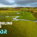 UK’s River Revival: How 'Re-Wiggling' Restores Ecosystems video poster