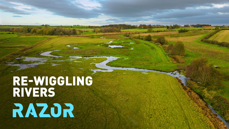UK’s River Revival: How 'Re-Wiggling' Restores Ecosystems video poster