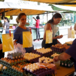 Brazil_Egg_Prices_Surge_Amid_Export_Boom_to_U_S__Markets video poster