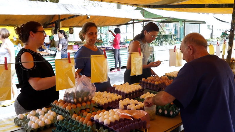 Brazil_Egg_Prices_Surge_Amid_Export_Boom_to_U_S__Markets video poster