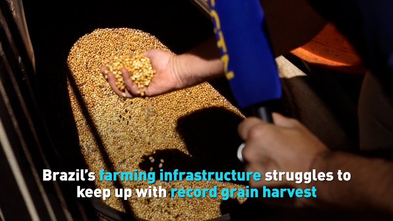 Brazil_Grain_Surplus_Tests_Infrastructure_Limits video poster