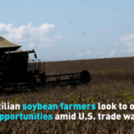 Brazilian_Soybean_Boom_Amid_U_S__China_Trade_Shifts_poster - Khabar Asia Brazilian_Soybean_Boom_Amid_U_S__China_Trade_Shifts video poster
