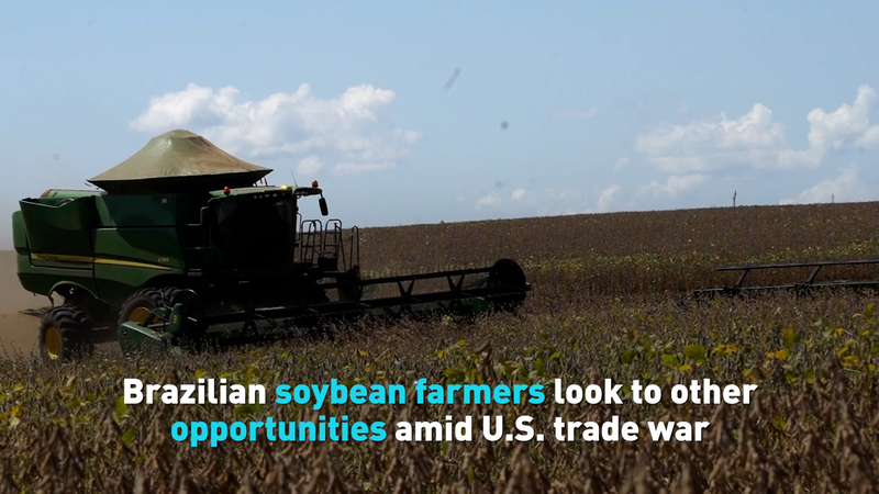 Brazilian_Soybean_Boom_Amid_U_S__China_Trade_Shifts_poster - Khabar Asia Brazilian_Soybean_Boom_Amid_U_S__China_Trade_Shifts video poster