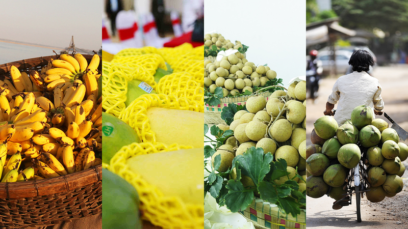 Cambodian_Fruits_Thrive_in_China__Reflecting_Deepening_Trade_Relations - Khabar Asia Cambodian_Fruits_Thrive_in_China__Reflecting_Deepening_Trade_Relations