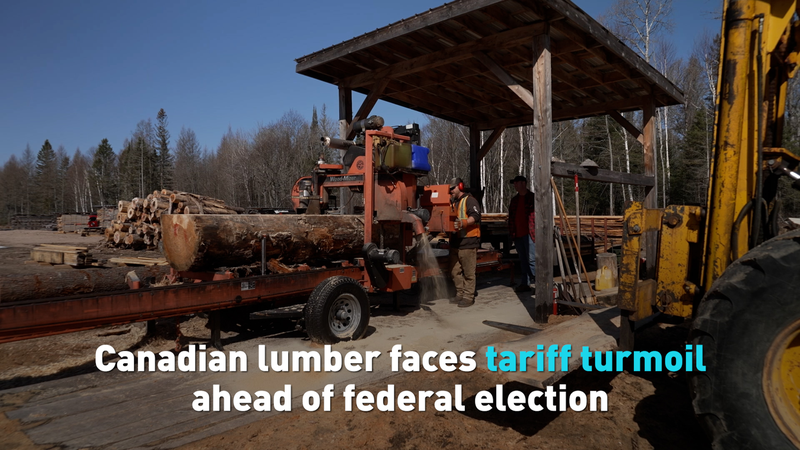 Canadian_Lumber_Industry_Braces_for_Tariff_Turmoil_Ahead_of_Election video poster