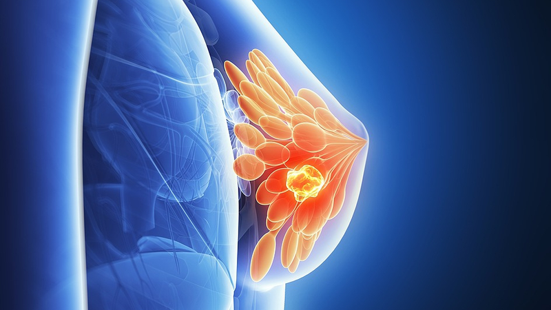 Cancer_Dormancy_Breakthrough_Sparks_Hope_for_New_Treatments - Khabar Asia Cancer_Dormancy_Breakthrough_Sparks_Hope_for_New_Treatments