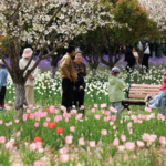 China_Anticipates_760_Million_Trips_During_Qingming_Festival_Travel_Surge_poster - Khabar Asia China_Anticipates_760_Million_Trips_During_Qingming_Festival_Travel_Surge video poster