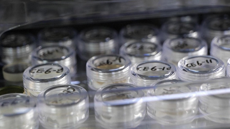 China_Opens_Lunar_Samples_to_Global_Scientists_Amid_Space_Collaboration_Push - Khabar Asia China_Opens_Lunar_Samples_to_Global_Scientists_Amid_Space_Collaboration_Push