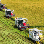 China_Reveals_2035_Roadmap_to_Boost_Agricultural_Strength__Modernize_Rural_Regions