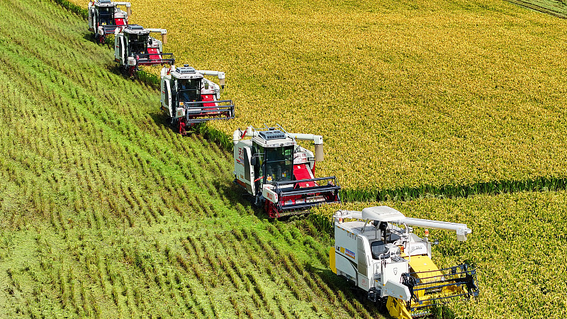 China_Reveals_2035_Roadmap_to_Boost_Agricultural_Strength__Modernize_Rural_Regions - Khabar Asia China_Reveals_2035_Roadmap_to_Boost_Agricultural_Strength__Modernize_Rural_Regions