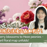 China_s_April_Floral_Spectacle__From_Wuhan_Blossoms_to_Heze_Peonies video poster