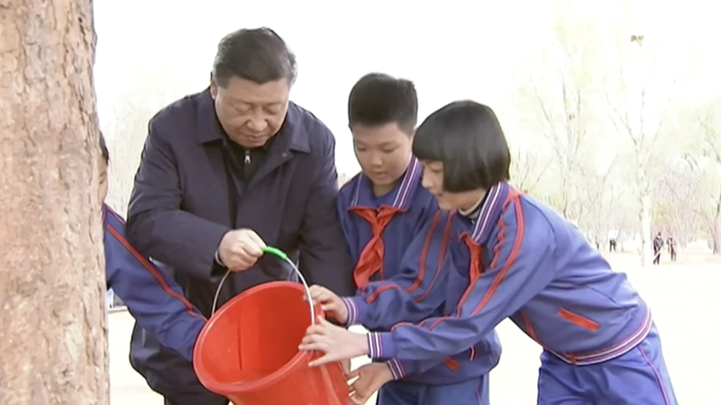 China_s_Green_Vision__A_Decade_of_President_Xi_s_Tree_Planting_Tradition video poster