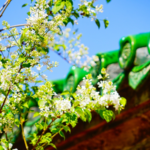 China_s_Qingming_Festival_Embraces_Digital_and_Eco_Friendly_Tributes - Khabar Asia China_s_Qingming_Festival_Embraces_Digital_and_Eco_Friendly_Tributes