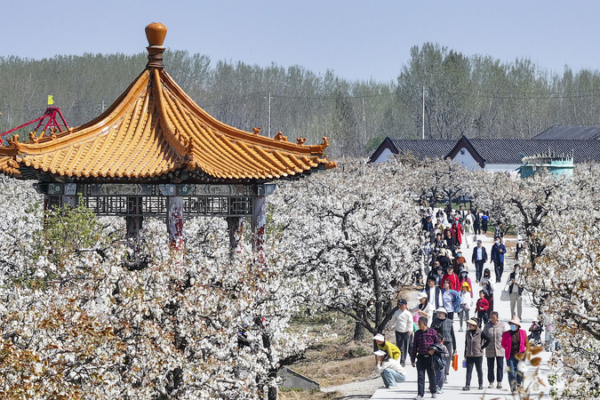 China_s_Qingming_Holiday_Sparks_Travel_Boom_Amid_Economic_Recovery