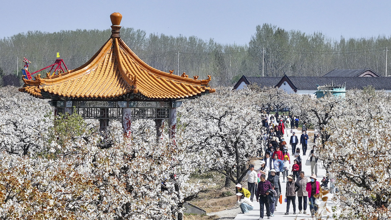 China_s_Qingming_Holiday_Sparks_Travel_Boom_Amid_Economic_Recovery - Khabar Asia China_s_Qingming_Holiday_Sparks_Travel_Boom_Amid_Economic_Recovery