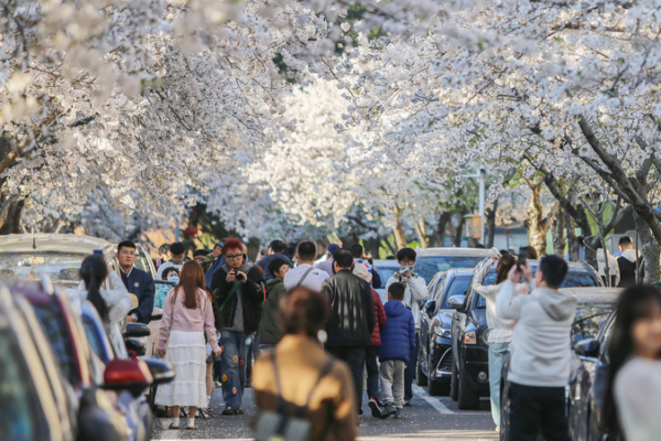 China’s Qingming Holiday Travel to Hit Record 790 Million Trips China_s_Qingming_Holiday_Travel_to_Hit_Record_790_Million_Trips