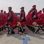 Chinese_Rescue_Teams_Complete_Myanmar_Quake_Mission__Return_Home_poster - Khabar Asia Chinese_Rescue_Teams_Complete_Myanmar_Quake_Mission__Return_Home video poster