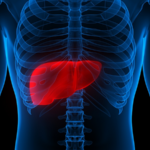 Chinese_Scientists_Find_Natural_Cancer_Fighter_in_Breakthrough_Liver_Study - Khabar Asia Chinese_Scientists_Find_Natural_Cancer_Fighter_in_Breakthrough_Liver_Study