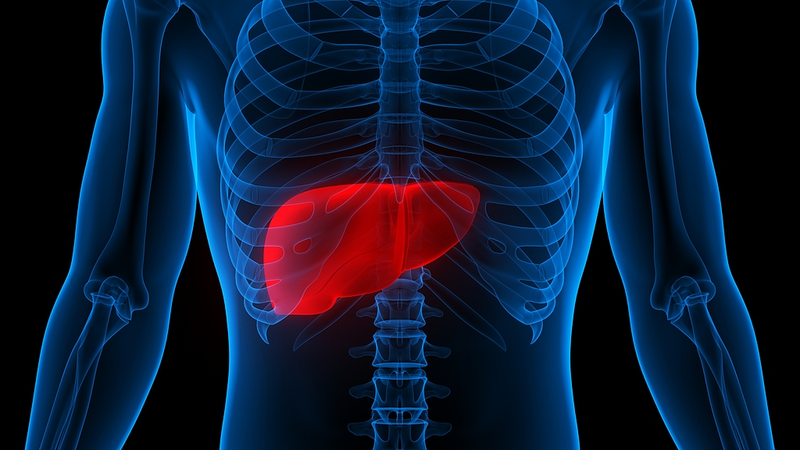 Chinese_Scientists_Find_Natural_Cancer_Fighter_in_Breakthrough_Liver_Study - Khabar Asia Chinese_Scientists_Find_Natural_Cancer_Fighter_in_Breakthrough_Liver_Study