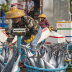 GULM1JT9M4G1P2BM1HLJ - Khabar Asia Hainan’s Spring Fishing Season Boosts Seafood Supply Amid High Demand