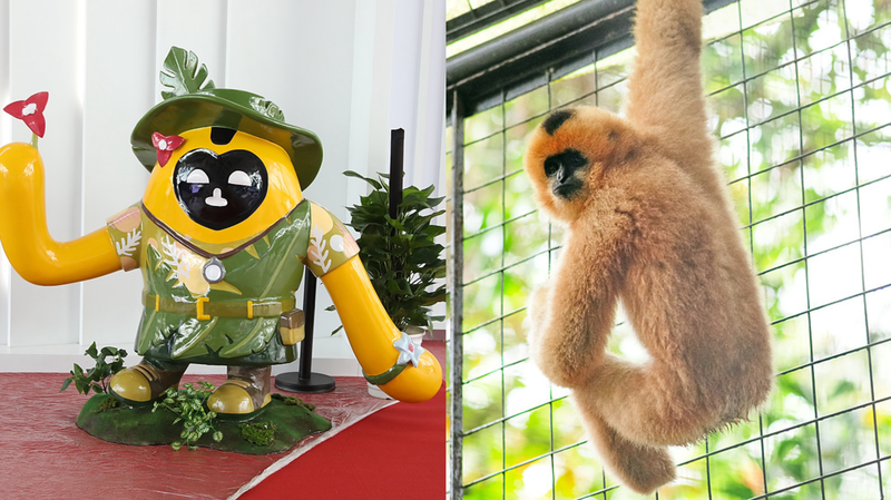 Hainan Expo Mascots Spotlight Rainforest Conservation Success Hainan_Expo_Mascots_Spotlight_Rainforest_Conservation_Success