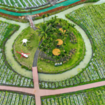Hainan_s_Tropical_Fruit_Paradise_Blooms_Ahead_of_Spring_Expo_poster - Khabar Asia Hainan_s_Tropical_Fruit_Paradise_Blooms_Ahead_of_Spring_Expo video poster