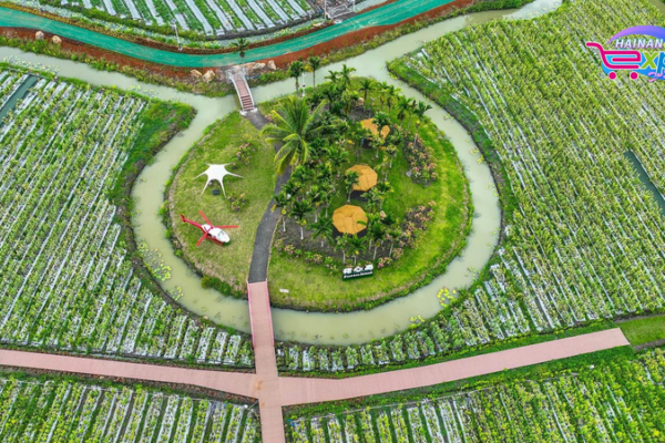 Hainan’s Tropical Fruit Paradise Unveiled in Qionghai City Hainan_s_Tropical_Fruit_Paradise_Unveiled_in_Qionghai_City video poster