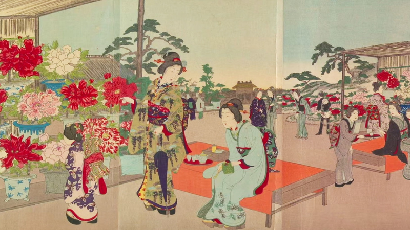 Heze_Peonies_Blossom_as_Symbols_of_China_Japan_Friendship video poster