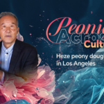 Heze_Peony_Dough_Art_Bridges_Cultures_in_Los_Angeles_poster - Khabar Asia Heze_Peony_Dough_Art_Bridges_Cultures_in_Los_Angeles video poster