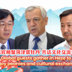 Heze_Peony_Festival_Unites_Global_Guests_for_Cultural_Exchange video poster