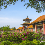 Heze_Showcases_Peony_Splendor_at_2025_Cultural_Forum_poster - Khabar Asia Heze_Showcases_Peony_Splendor_at_2025_Cultural_Forum video poster