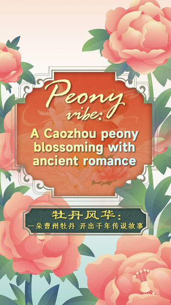 Heze_s_Peonies_Bloom_with_Timeless_Tales_of_Love_and_Legacy video poster