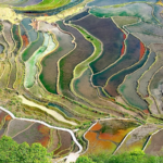 Honghe_Hani_Rice_Terraces_Shine_as_UNESCO_Marvel_in_Yunnan