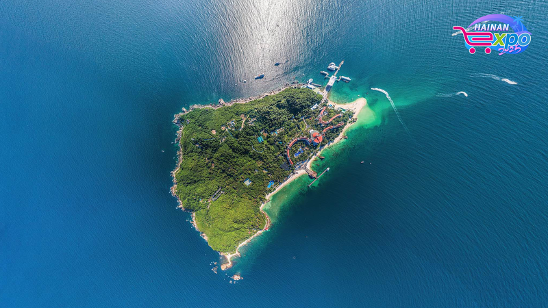 Live_Dive_Reveals_Wuzhizhou_Island_s_Underwater_Marvels video poster