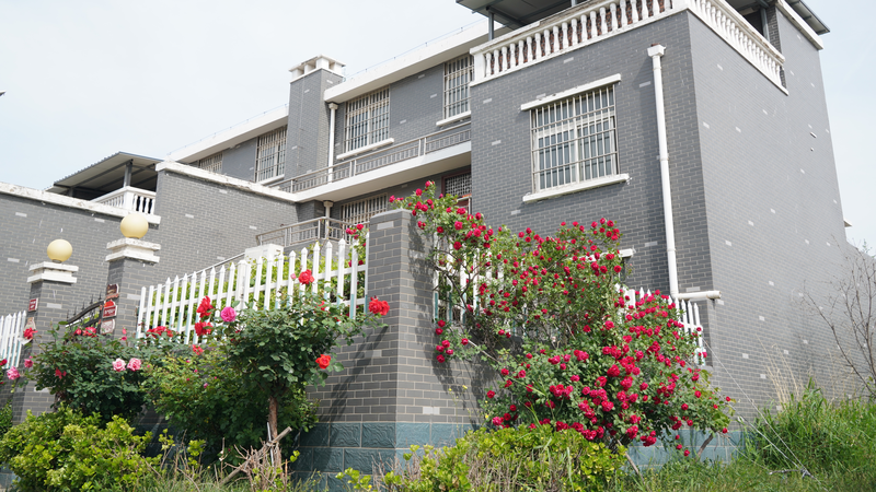 Madu_Village__A_Beacon_of_Rural_Revitalization_Along_the_Yellow_River - Khabar Asia Madu_Village__A_Beacon_of_Rural_Revitalization_Along_the_Yellow_River