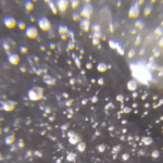 Microplastics_in_Fertility__Italy_s_Crisis_Sparks_Global_Health_Debate