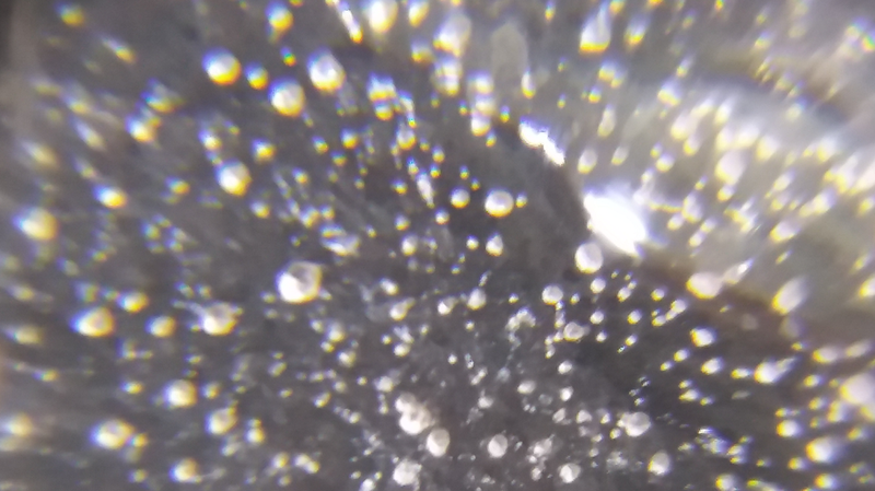 Microplastics_in_Fertility__Italy_s_Crisis_Sparks_Global_Health_Debate - Khabar Asia Microplastics_in_Fertility__Italy_s_Crisis_Sparks_Global_Health_Debate
