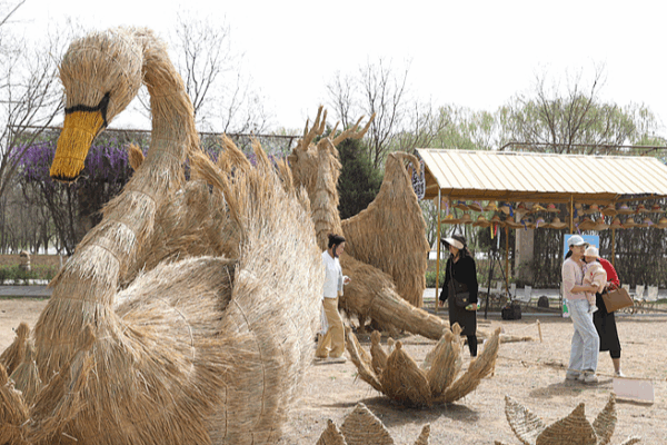 Ningxia Hosts 2025 International Scarecrow Art Festival with Massive Art Displays Ningxia_Hosts_2025_International_Scarecrow_Art_Festival_with_Massive_Art_Displays