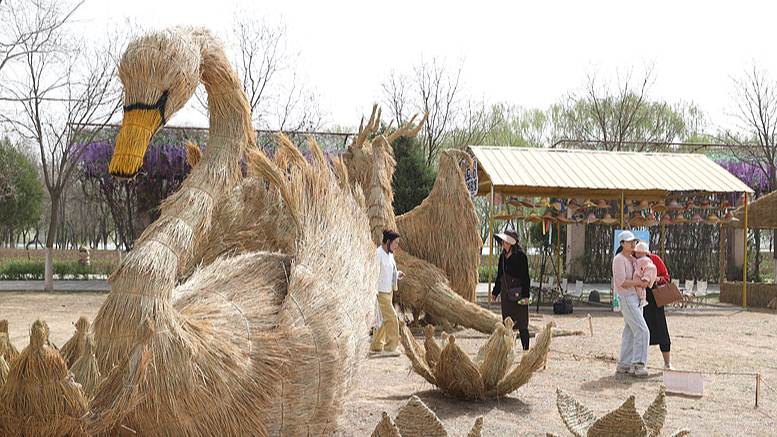 Ningxia_Hosts_2025_International_Scarecrow_Art_Festival_with_Massive_Art_Displays