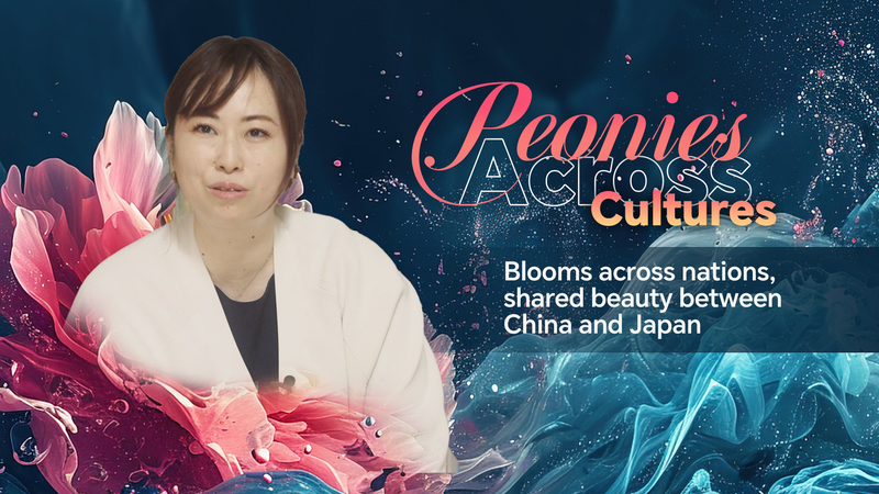 Peonies_Bloom_as_Cultural_Ambassadors_at_2025_World_Peony_Conference_in_Heze_poster - Khabar Asia Peonies_Bloom_as_Cultural_Ambassadors_at_2025_World_Peony_Conference_in_Heze video poster