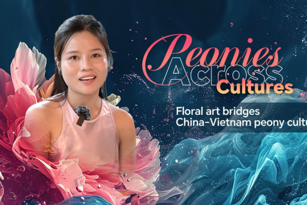 Peony Power: Floral Art Bridges China-Vietnam Cultural Ties Peony_Power__Floral_Art_Bridges_China_Vietnam_Cultural_Ties video poster