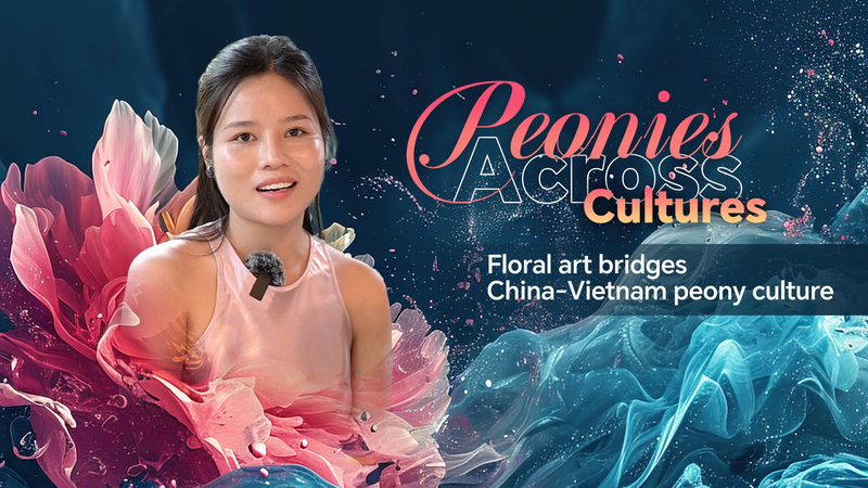 Peony_Power__Floral_Art_Bridges_China_Vietnam_Cultural_Ties video poster
