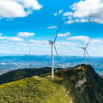 President_Xi_Reaffirms_China_s_Climate_Commitments_at_Virtual_Summit